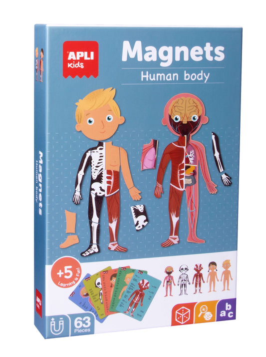 Magnet - Le corps humain