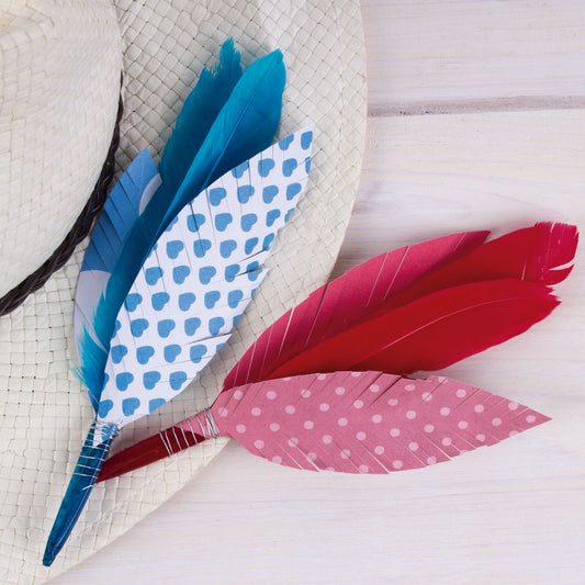 Plumes d'oies couleurs assorties 500 u.